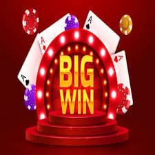 247bet gaming platform